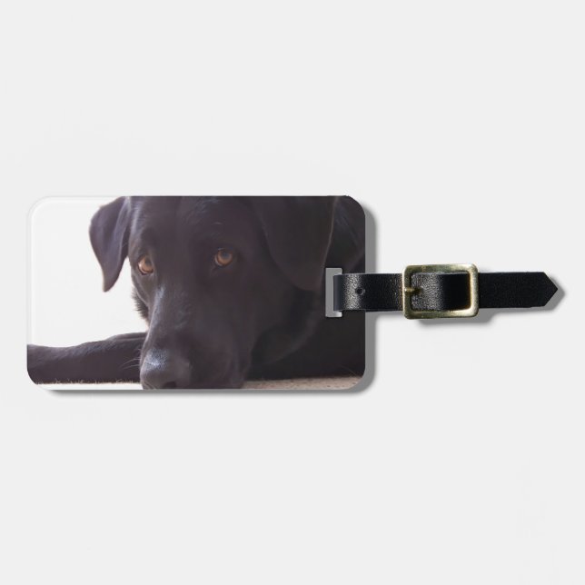 labrador retriever luggage tag (Front Horizontal)