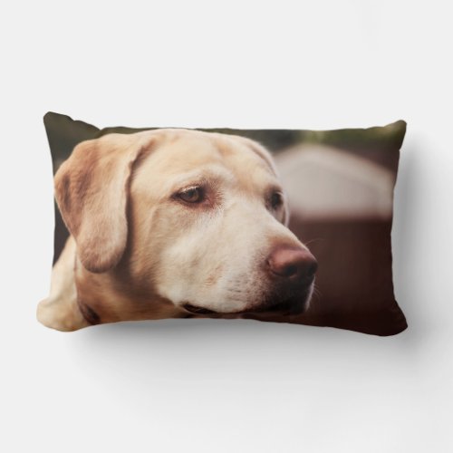 Labrador Retriever Lumbar Pillow