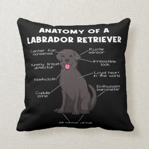 Labrador Retriever Mom Labbi Anatomy Of A Throw Pillow