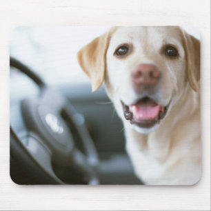 Labrador Retriever Mouse Pad