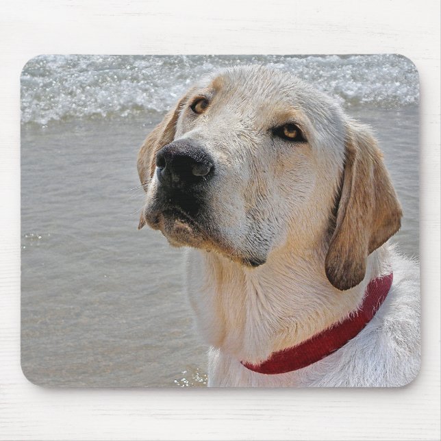 Labrador Retriever Mouse Pad (Front)