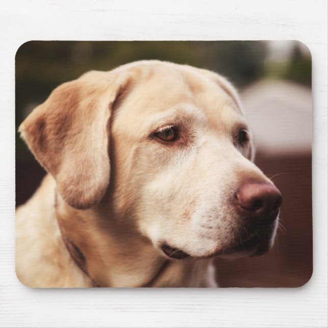 Labrador Retriever Mouse Pad (Front)