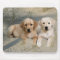 Labrador Retriever Mousepad Puppies
