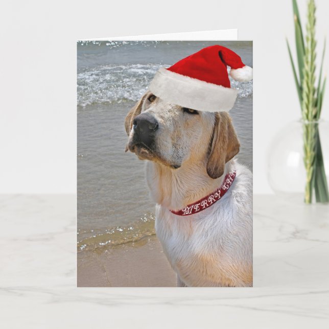 Labrador Retriever on beach Christmas Holiday Card (Front)