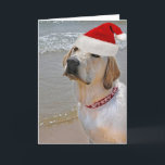 Labrador Retriever on beach Christmas Holiday Card<br><div class="desc">Labrador retriever wearing a Santa hat on the beach.
Merry Christmas greeting in red collar.</div>
