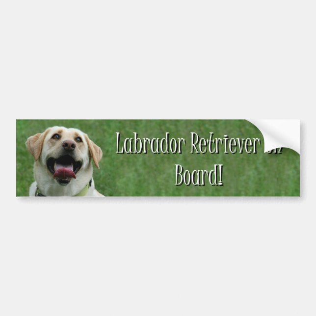 Labrador Retriever on board bumper sticker (Front)