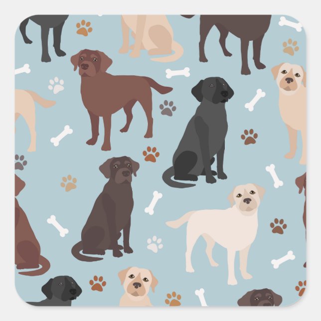 Labrador Retriever Paws and Bones Square Sticker (Front)