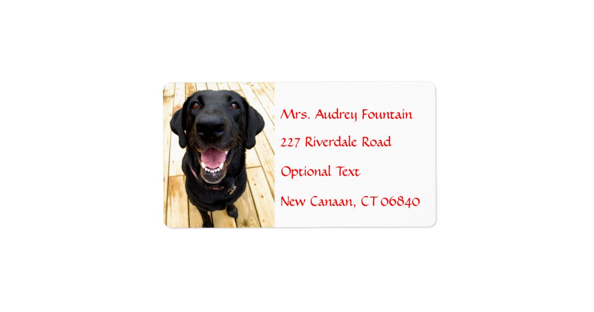 Labrador Retriever Personalized Name Address Label Zazzle