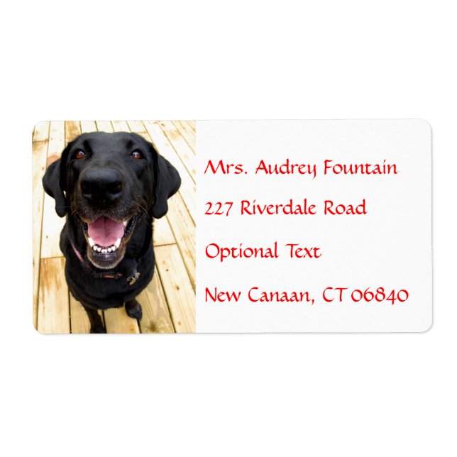 Labrador Retriever Personalized Name Address Label (Front)