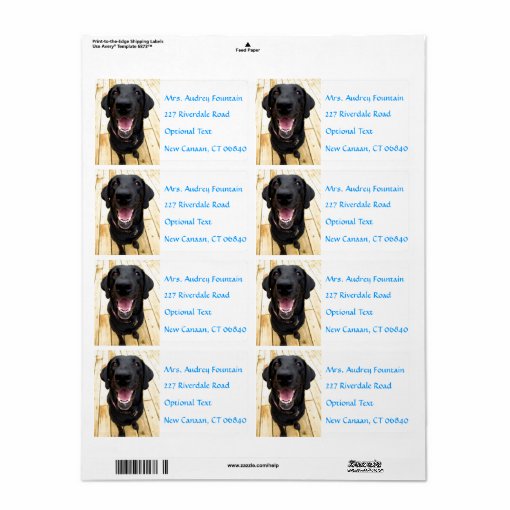 Labrador Retriever Personalized Name Address Label Zazzle