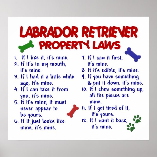 LABRADOR RETRIEVER PL2 POSTER (Front)