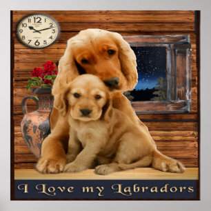 Labrador Retriever Poster