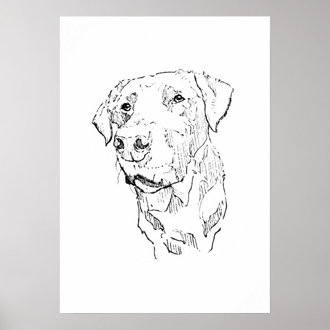 Labrador Retriever Poster Art, Wall Print (Front)