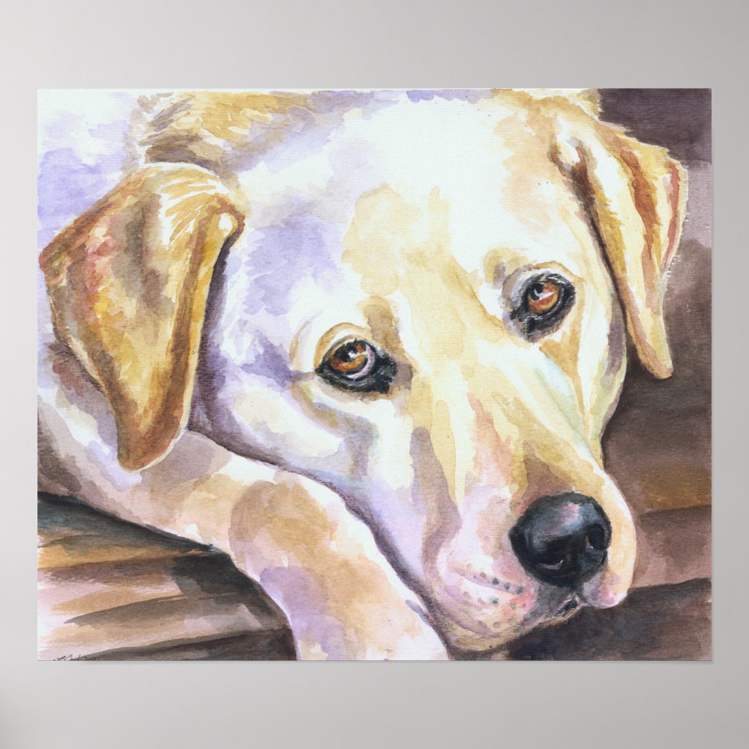 Labrador Retriever Print Zazzle