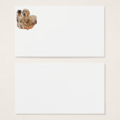Labrador retriever products (Front & Back)