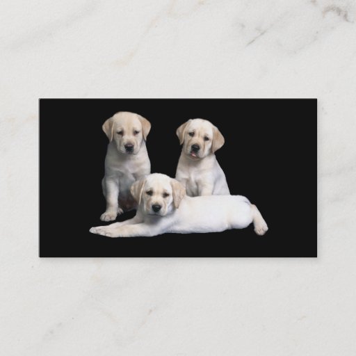 Customizable Labrador Retriever  Puppies Business Card