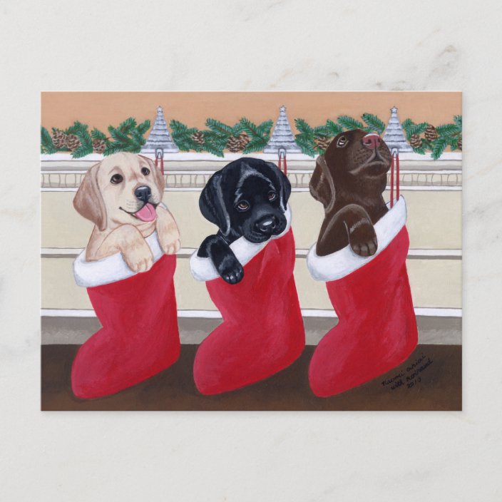 labrador puppy christmas