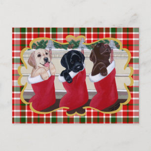 Labrador Retriever Puppies Christmas Tartan Holiday Postcard