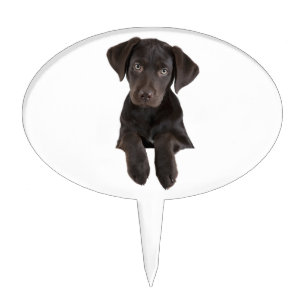 Labrador Retriever Puppy Cake Topper