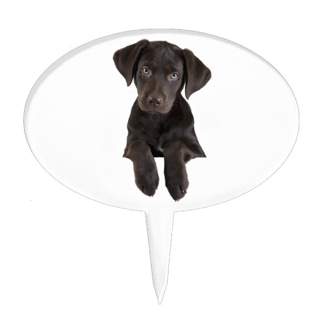 Labrador Retriever Puppy Cake Topper (Front)