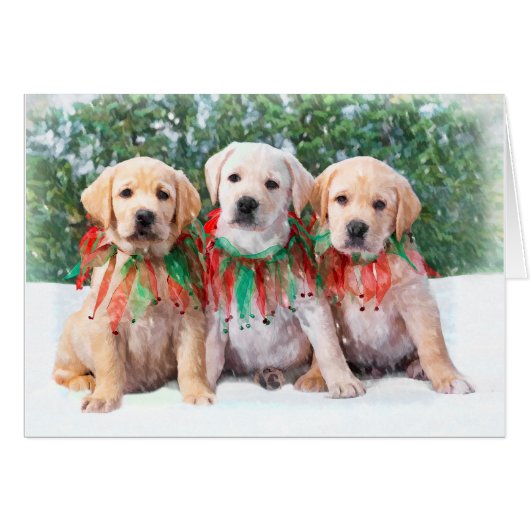 Labrador Retriever Puppy Cards (Front Horizontal)
