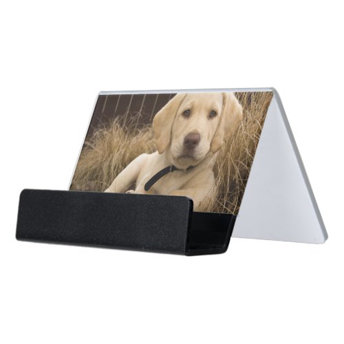 Labrador Retriever puppy Desk Business Card Holder