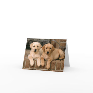 Labrador Retriever Puppy Dogs Note Card