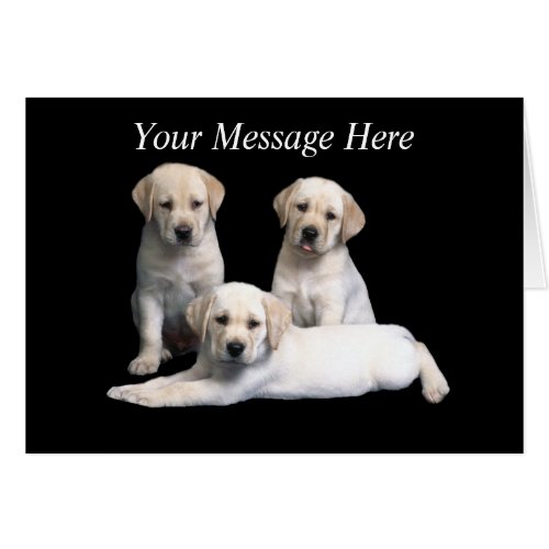 Labrador Retriever Puppy Greeting Card