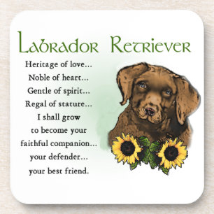 Labrador Retriever Puppy Heritage Gifts Drink Coaster
