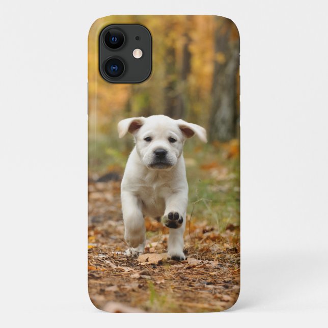 Labrador retriever puppy in autumn scenery Case-Mate iPhone case (Back)