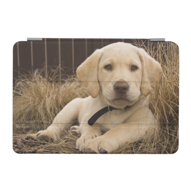 Labrador Retriever puppy iPad Mini Cover (Horizontal)