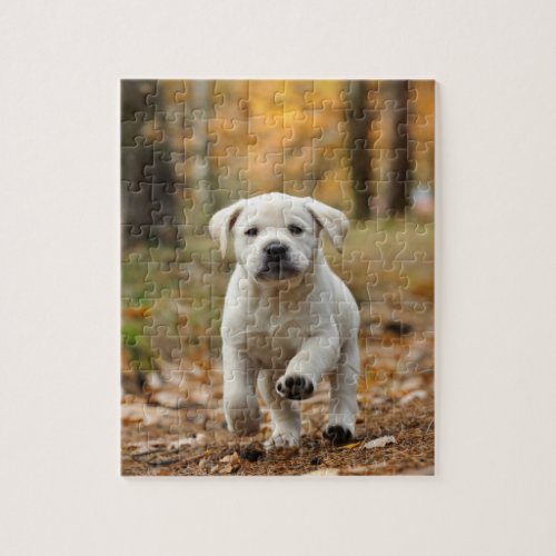 Labrador retriever puppy jigsaw puzzle