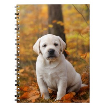 Labrador Retriever Puppy Notebook by petsArt at Zazzle