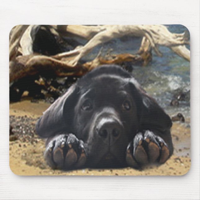 Labrador Retriever Puppy On Beach Mousepad (Front)
