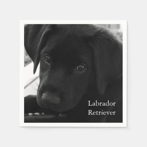 Labrador Retriever Puppy Paper Napkins