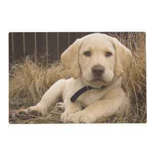 Labrador Retriever puppy Placemat