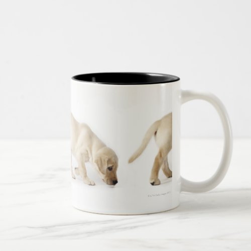 Labrador Retriever Puppy Walking Two_Tone Coffee Mug