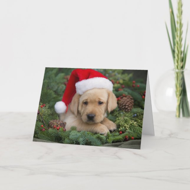 Labrador Retriever Puppy With Santa Hat Holiday Card (Front)