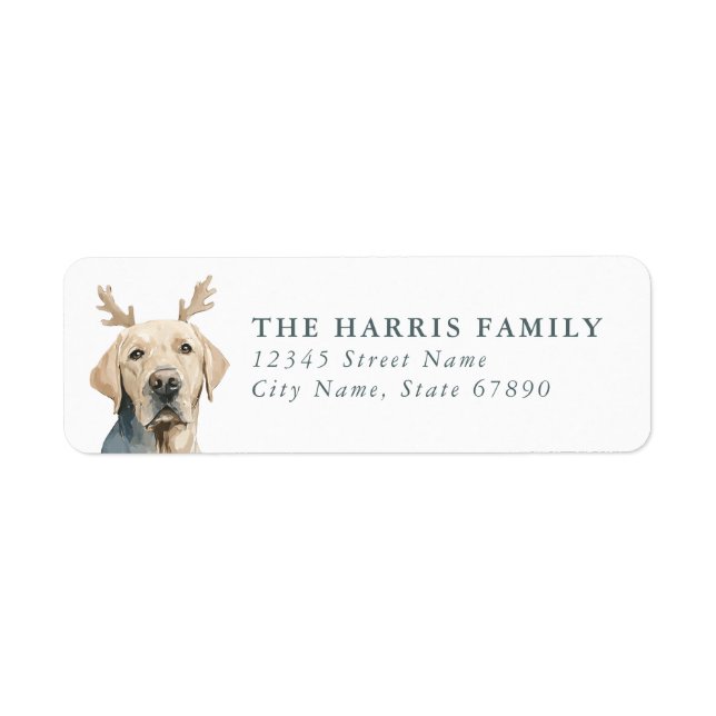 Labrador Retriever Return Address Labels (Front)