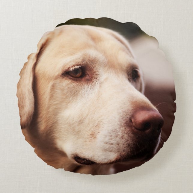 Labrador Retriever Round Pillow (Front)