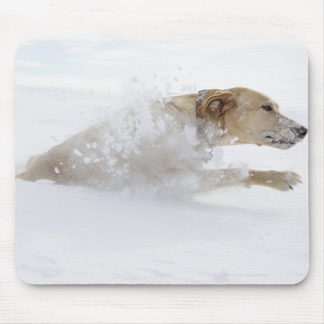 Labrador retriever running through deep snow mouse pad (Front)