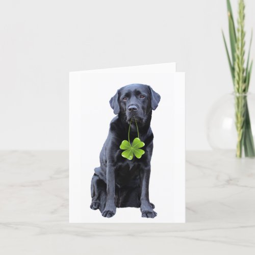 Labrador Retriever StPatricks Day Holiday Card