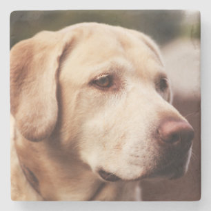 Labrador Retriever Stone Coaster