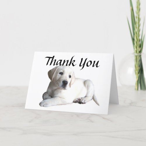 Labrador Retriever Thank You Card