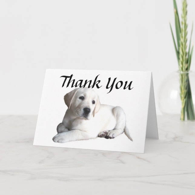 Labrador Retriever Thank You Card (Front)