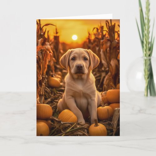 Labrador Retriever Thanksgiving Holiday Card