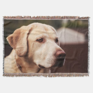 Labrador Retriever Throw Blanket