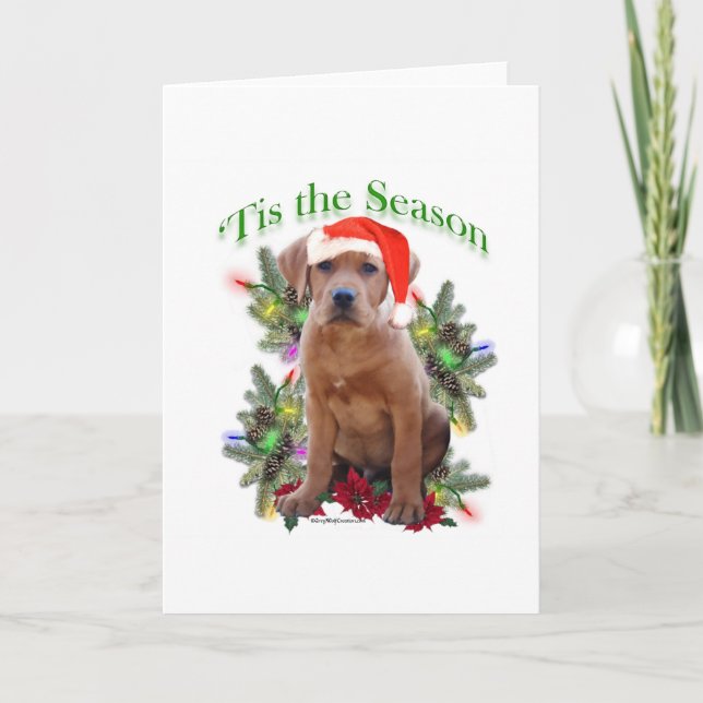 Labrador Retriever ‘Tis Holiday Card (Front)