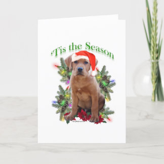 Labrador Retriever ‘Tis Holiday Card