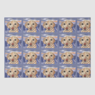 Labrador Retriever    Tissue Paper